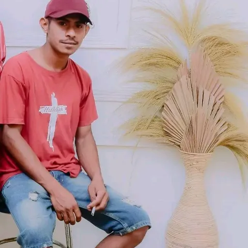 Profil CV Sefrianus usboko