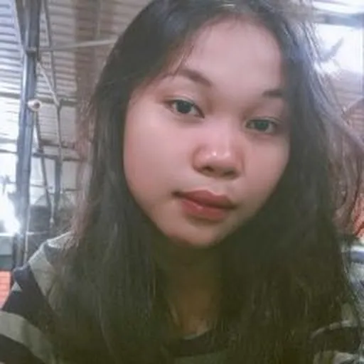Profil CV KP - NOVA INDAH BR S