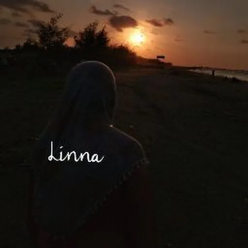 Profil CV Linna D A