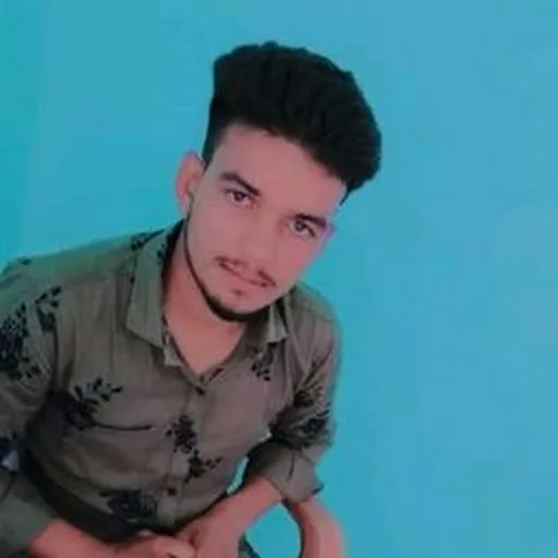 Profil CV L P Yadav