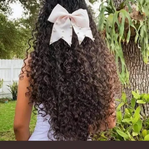 Profil CV Lusia Angelita Jou