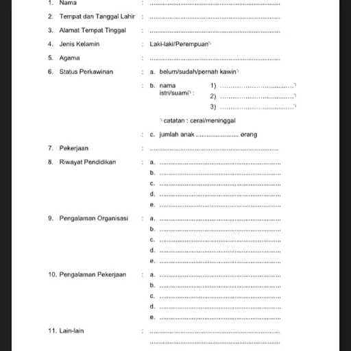 Profil CV sde