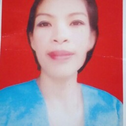 Profil CV MARLENI