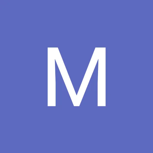 Profil CV Mayselvshan M