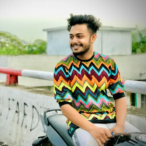Profil CV md mehedi