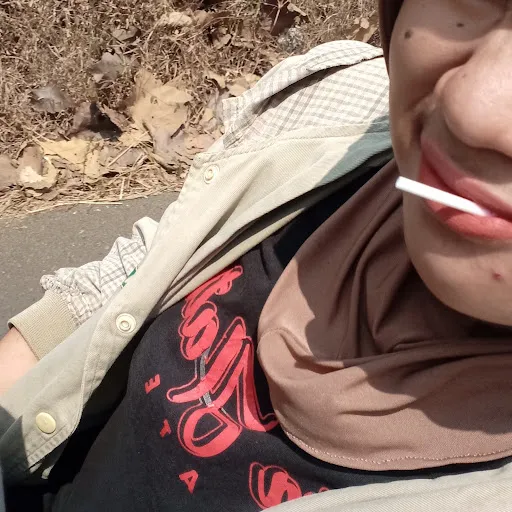 Profil CV mellxcl