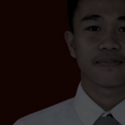 Profil CV Mesri Rua Putra