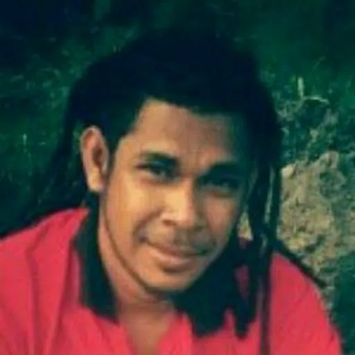 Profil CV Michael Ivakdalam