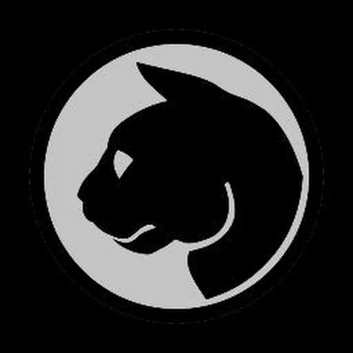 Profil CV mrfstoryz