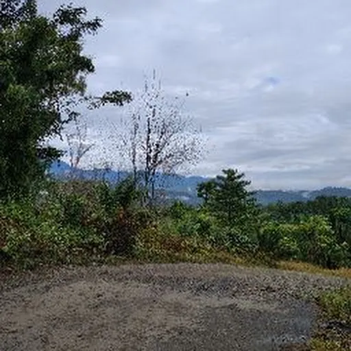 Profil CV Muliana