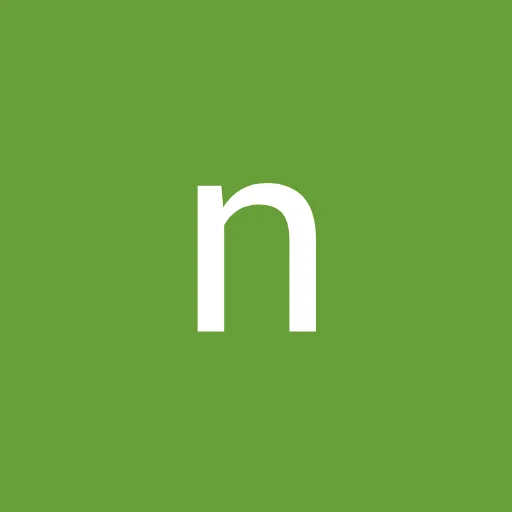 Profil CV nana diyya