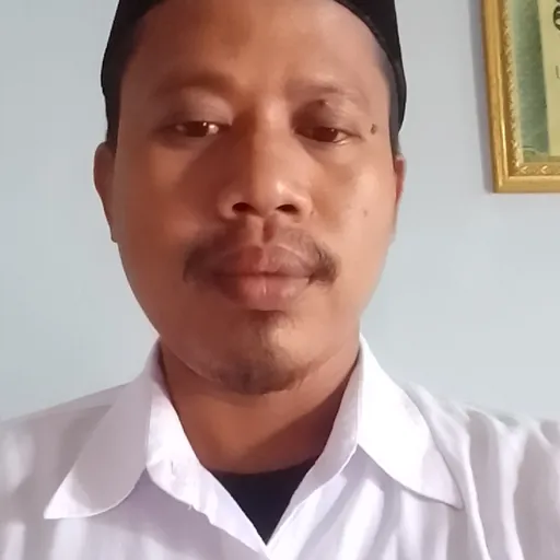 Profil CV Nasekhul Amin - honorer 