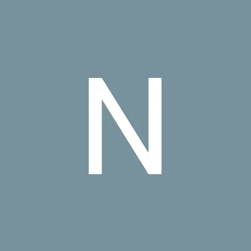Profil CV Nela arura