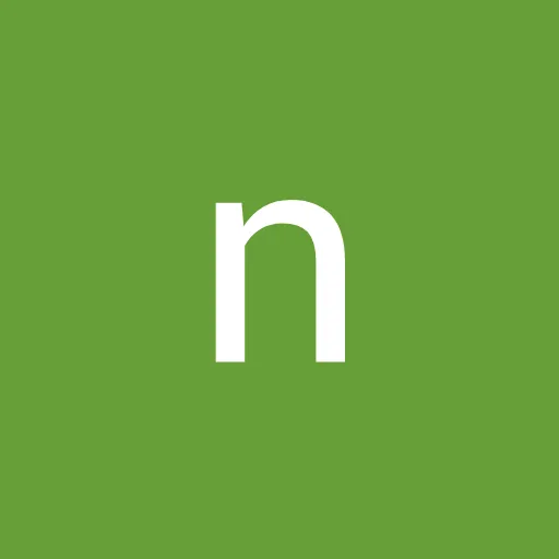 Profil CV nisa nadn