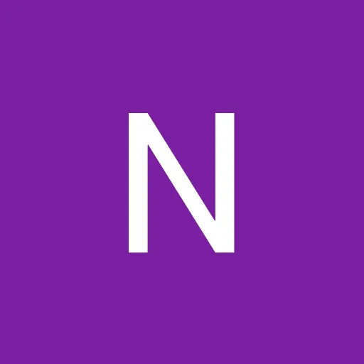 Profil CV Noe Dinata
