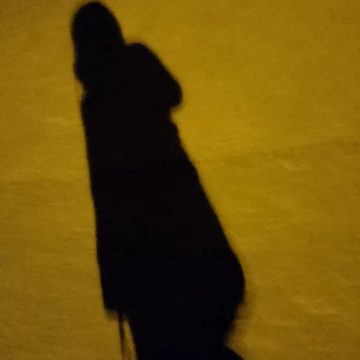 Profil CV nova