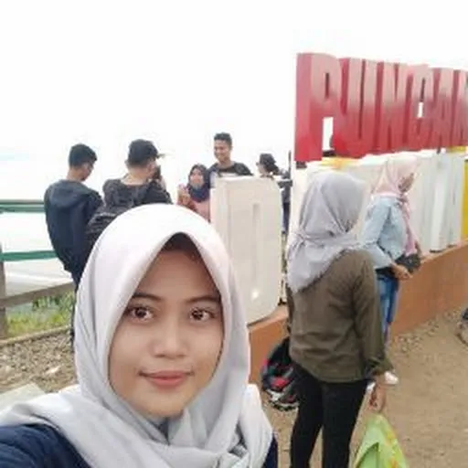 Profil CV Novi Fitriani