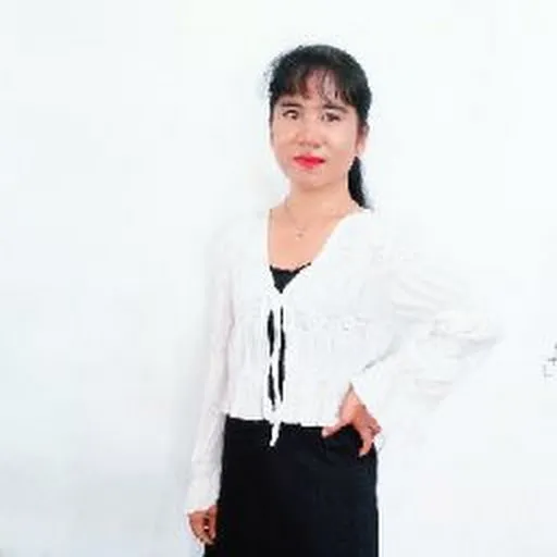 Profil CV Noviyanti Hulu