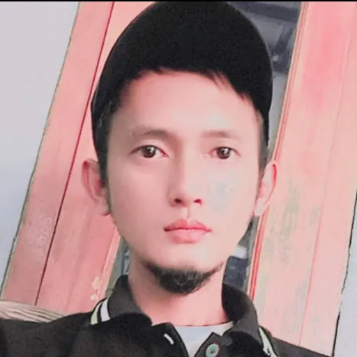 Profil CV N.syarif Roys
