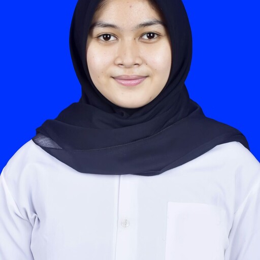 Profil CV Nur Aulia Romadhona