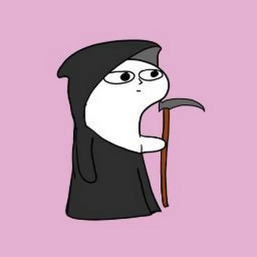 Profil CV Nur Fidi