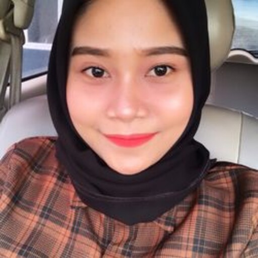 Profil CV Nur Lailatul Azizah - Experience Consultan