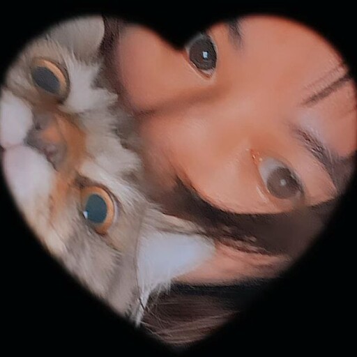 Profil CV P