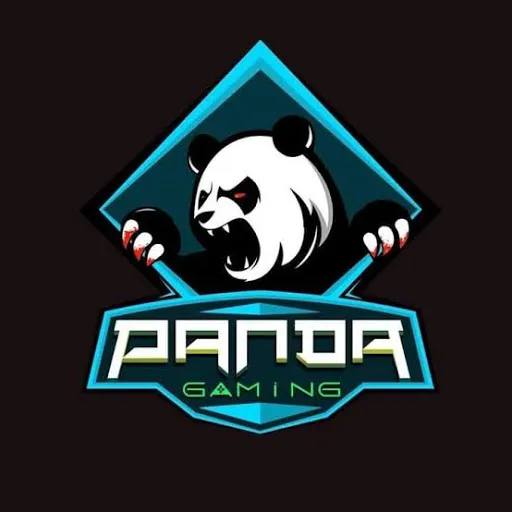 Profil CV Pandawa 5 Gaming
