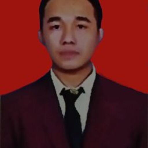 Profil CV Perian Dewa Hartiana - Programmer
