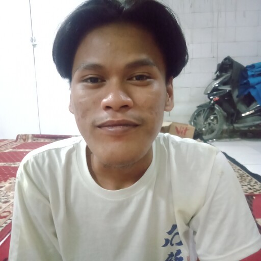 Profil CV Pian