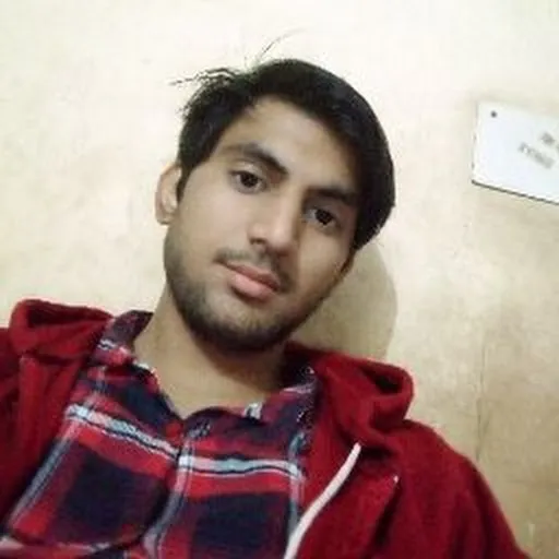 Profil CV Punit Kumar
