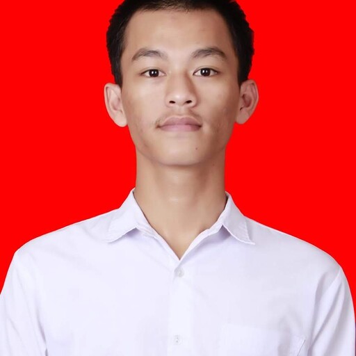 Profil CV Erwin