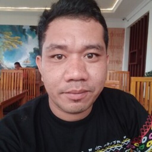 Profil CV Ricky Vincensius Sitindaon - Driver