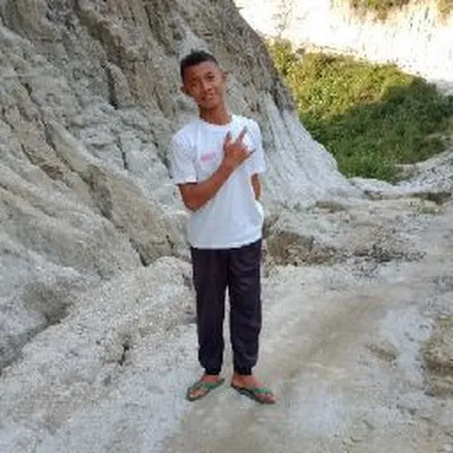 Profil CV Rizal Panjaitan