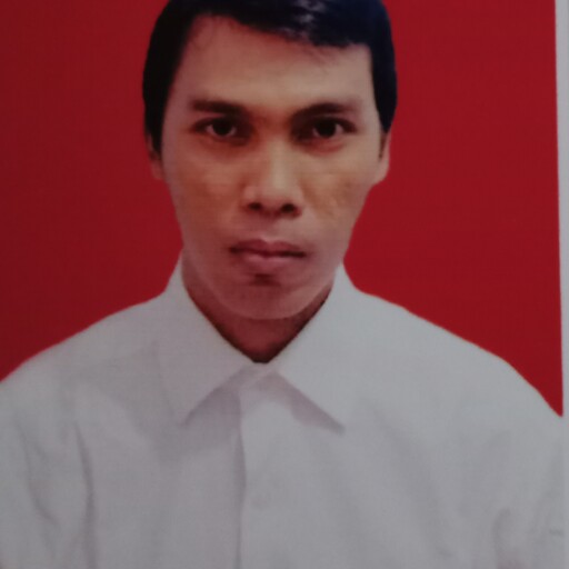 Profil CV Robin