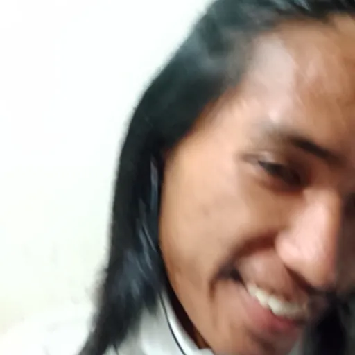 Profil CV Sandi Satriawan