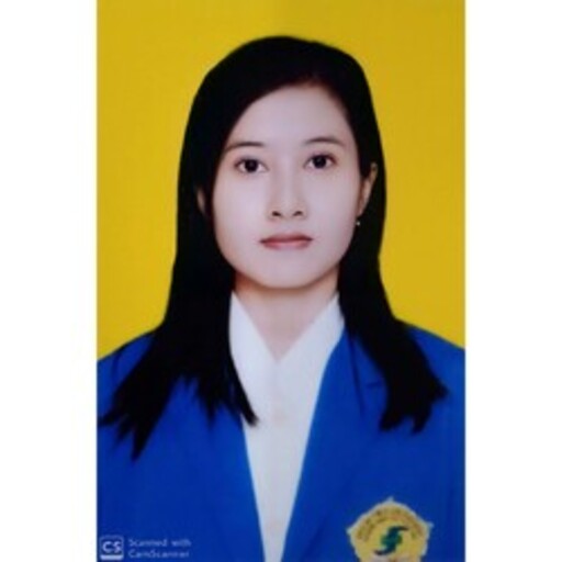 Profil CV Santa Ayu Rahmawati - Staff Perekam Medis
