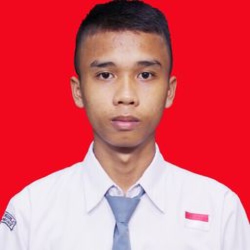Profil CV SARDI