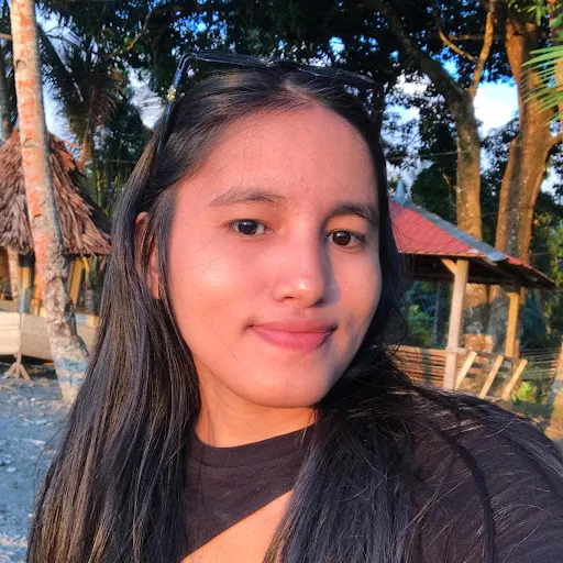 Profil CV Silfana Hattu