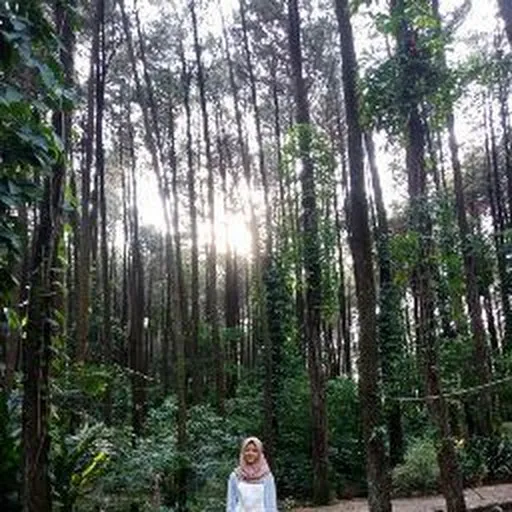 Profil CV Silvy Mutiara
