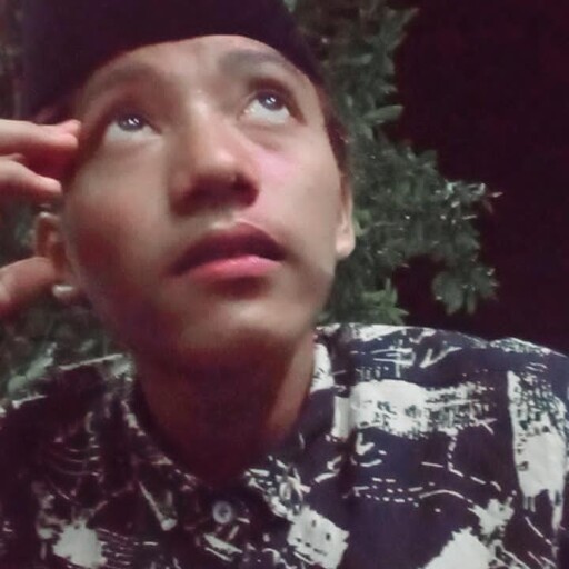 Profil CV Sohibul Anwar