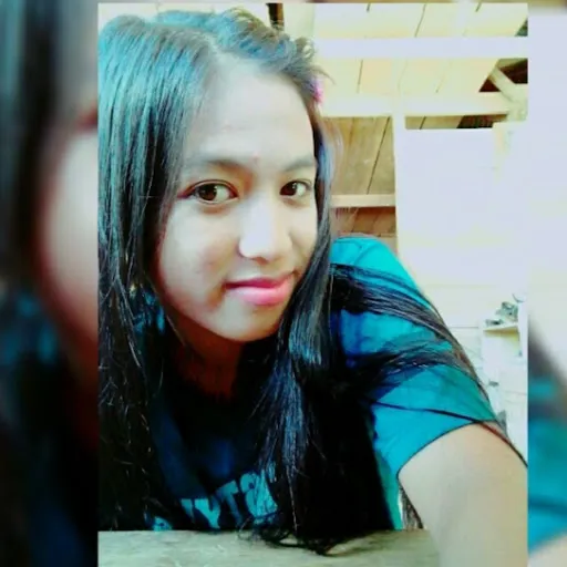 Profil CV Surtina Tina26