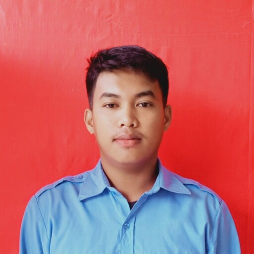 Profil CV ALDI.A - Colector