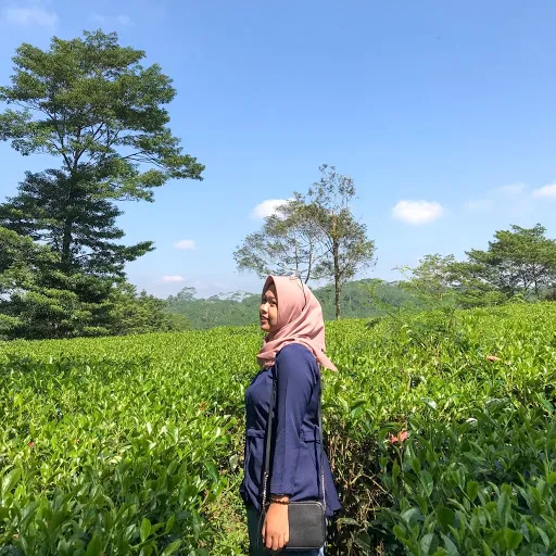 Profil CV Taqwarara Salsabila