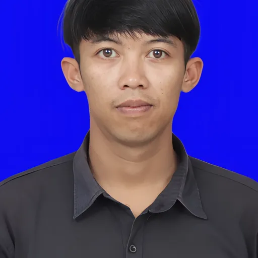 Profil CV Teguh Frmnsyh