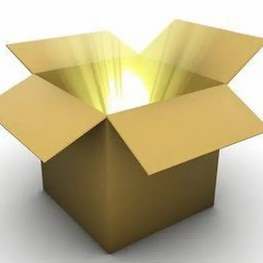 Profil CV The BOX