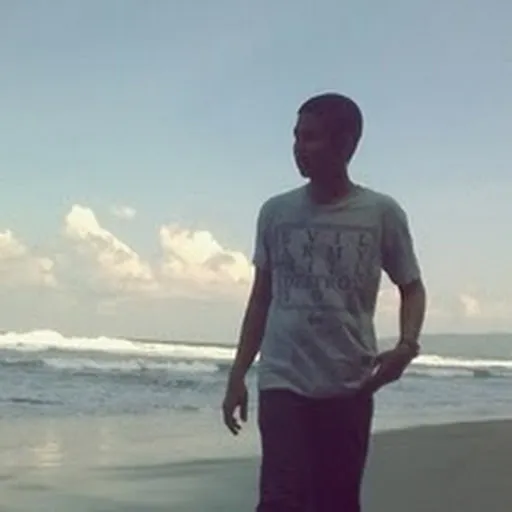 Profil CV Vidi Adikrisna