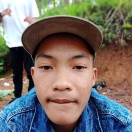 Profil CV WISNU NURDIN