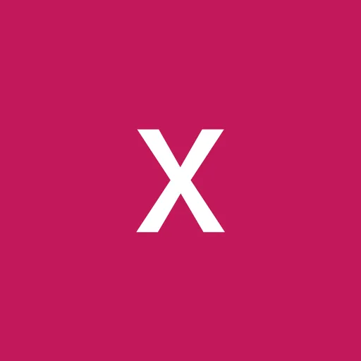 Profil CV xue li sherlyy