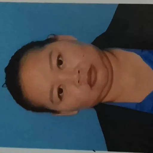 Profil CV NONI OVAT